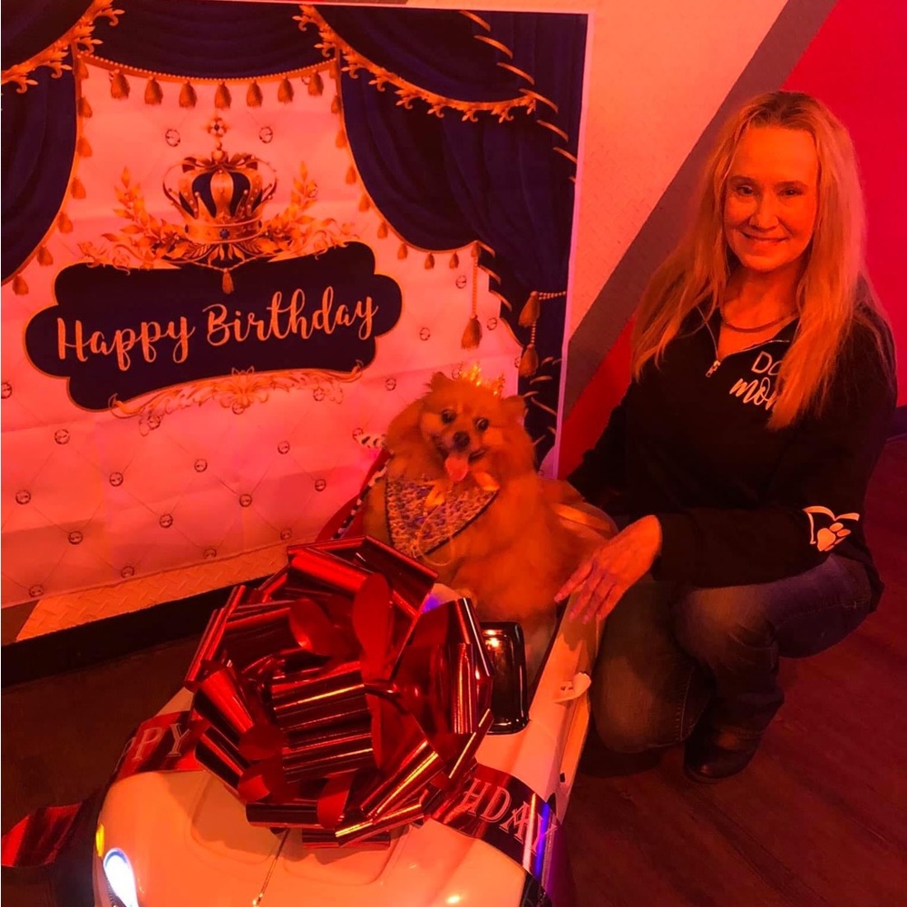 Happy New Year 🎆 2024 - Picture 9 of 14